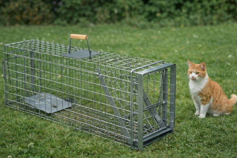 🐾 Nežádoucí zvířata