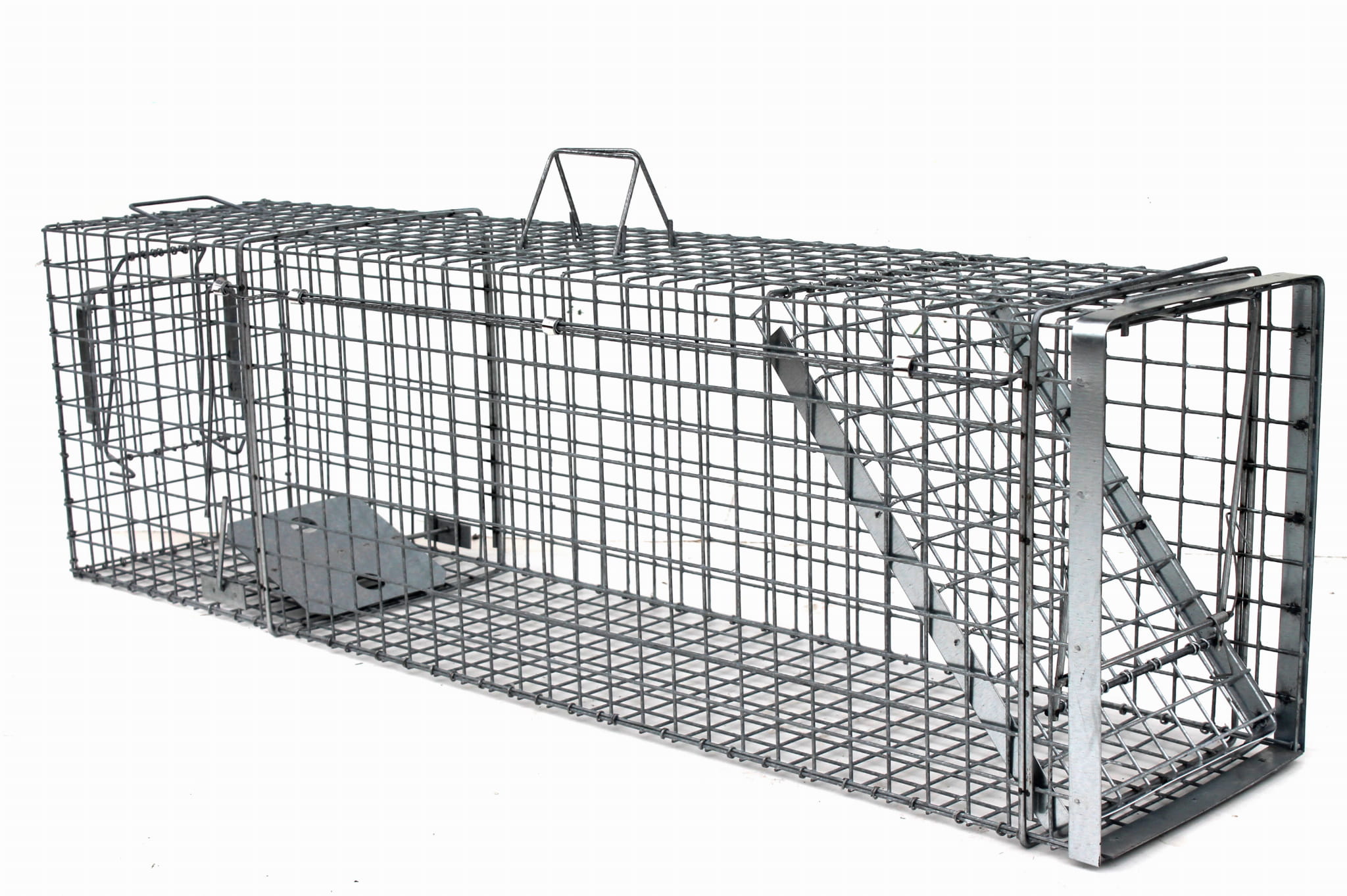 Pasti s jedním vstupem