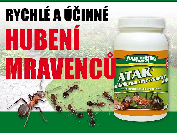 Prášek na hubení mravenců - 100g